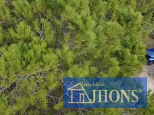 dji_fly_20251215_104159_0_1765791719239_photo_low_quality